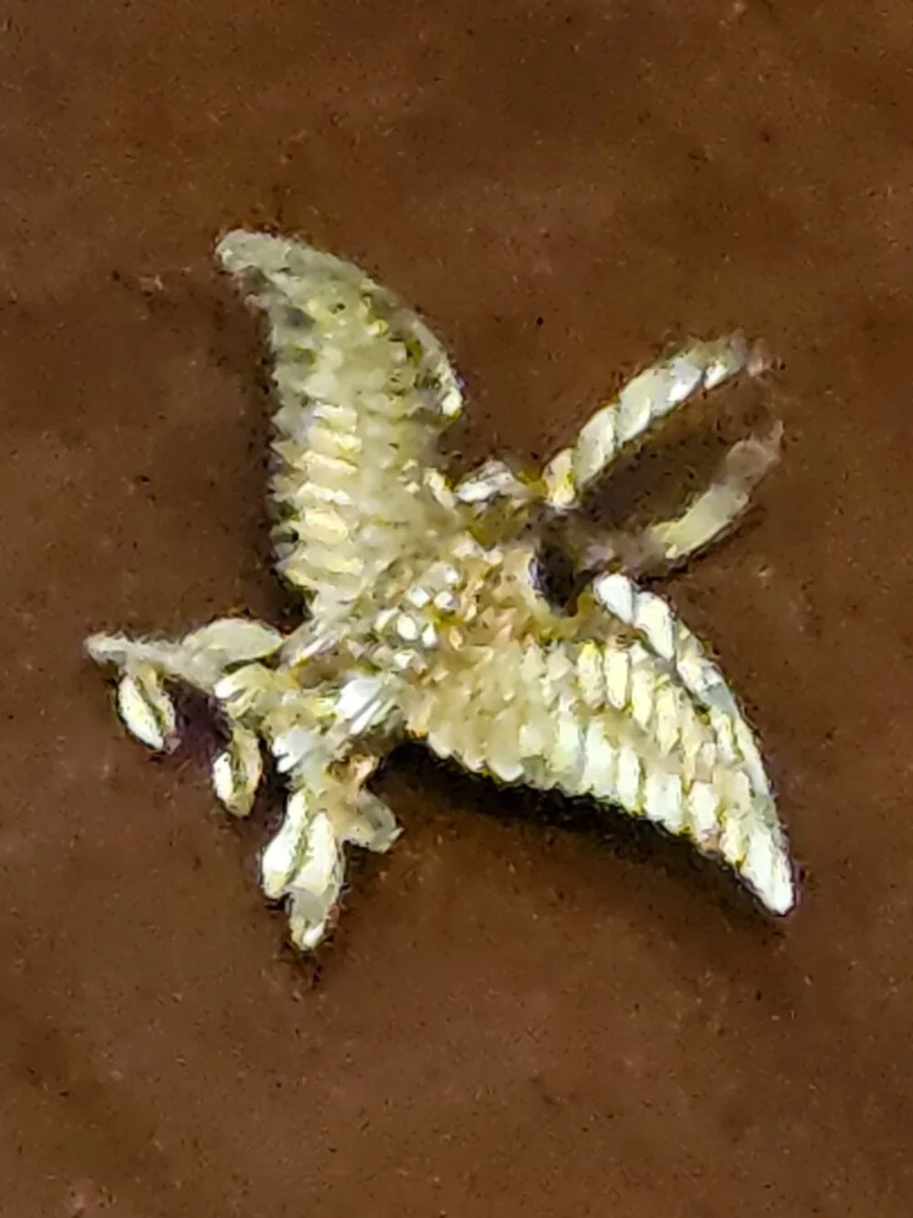 RARE VINTAGE MICHAEL ANTHONY 14k GOLD EAGLE DIAMOND CUT MILITARY CHARM PENDANT